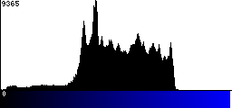 Blue Histogram