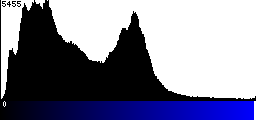 Blue Histogram
