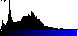 Blue Histogram