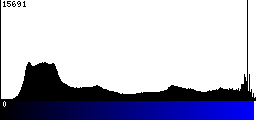 Blue Histogram