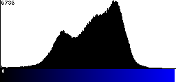 Blue Histogram