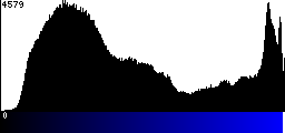 Blue Histogram