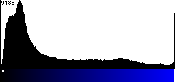Blue Histogram