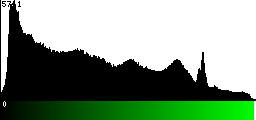Green Histogram