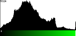 Green Histogram