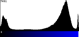 Blue Histogram