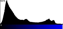 Blue Histogram
