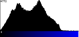 Blue Histogram
