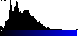 Blue Histogram
