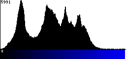 Blue Histogram