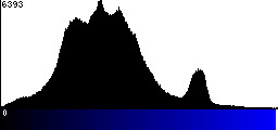 Blue Histogram