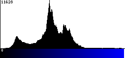 Blue Histogram