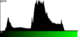 Green Histogram