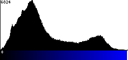 Blue Histogram
