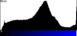 Blue Histogram
