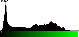 Green Histogram