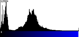 Blue Histogram