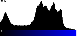 Blue Histogram