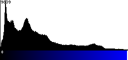 Blue Histogram