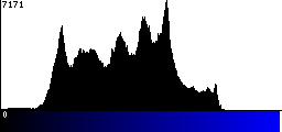 Blue Histogram