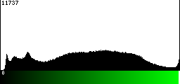 Green Histogram