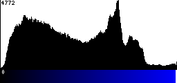 Blue Histogram