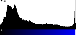 Blue Histogram