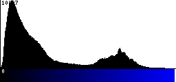 Blue Histogram