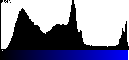 Blue Histogram