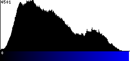 Blue Histogram