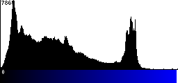 Blue Histogram