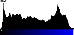 Blue Histogram