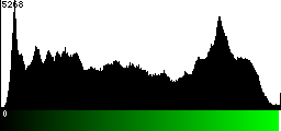 Green Histogram