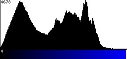 Blue Histogram