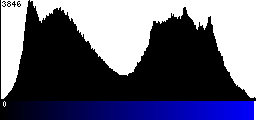 Blue Histogram
