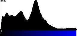 Blue Histogram