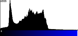 Blue Histogram