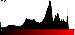 Red Histogram