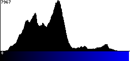 Blue Histogram