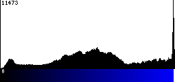 Blue Histogram