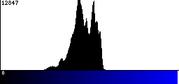 Blue Histogram