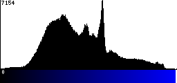 Blue Histogram