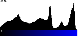 Blue Histogram