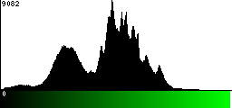 Green Histogram