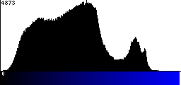 Blue Histogram