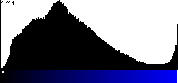 Blue Histogram