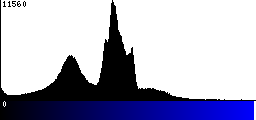Blue Histogram