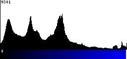 Blue Histogram