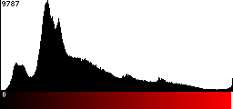 Red Histogram