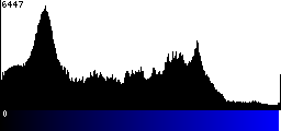 Blue Histogram